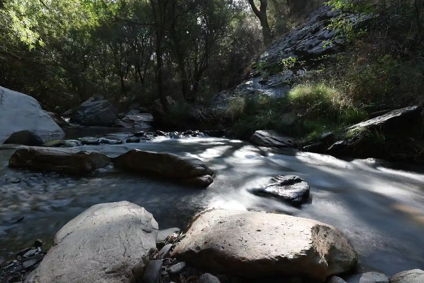 IMG_8871_11zon_2_11zon