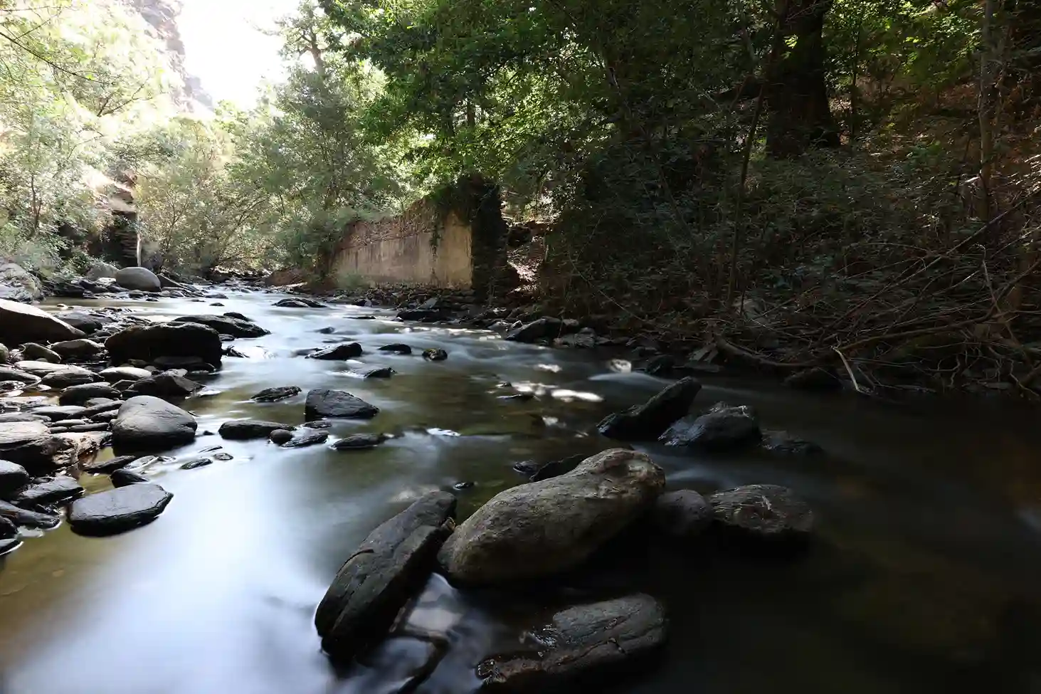 IMG_8874_11zon_3_11zon