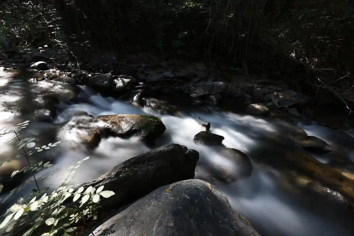 IMG_8876_11zon_4_11zon