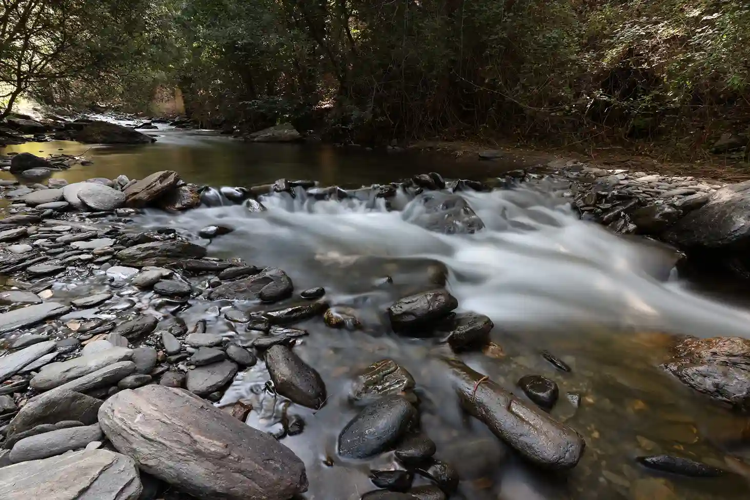 IMG_8878_11zon_5_11zon