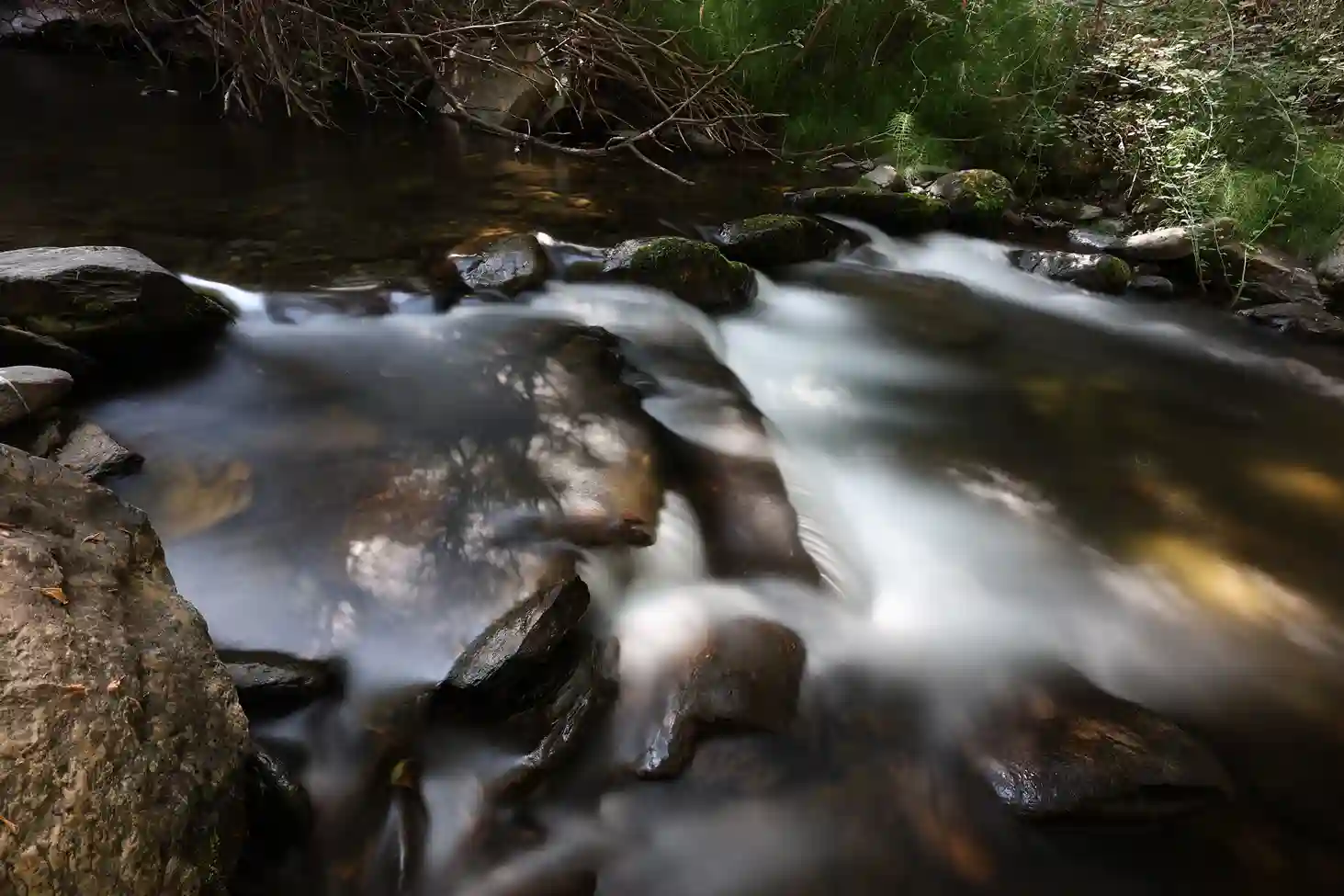 IMG_8884_11zon_6_11zon